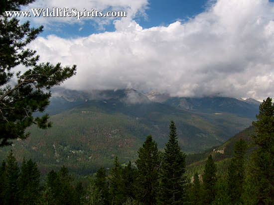 Click Picture to send as an  E-PostCard 65k 550x412